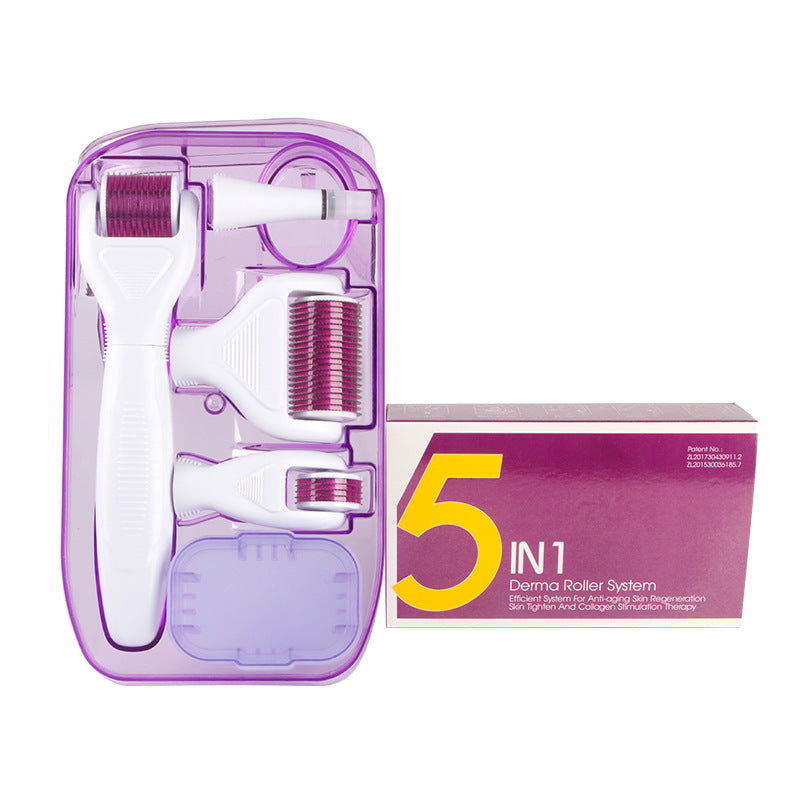 Derma Roller Kit Facial Microneedling Set Facial Skin Care Tools Gift Set